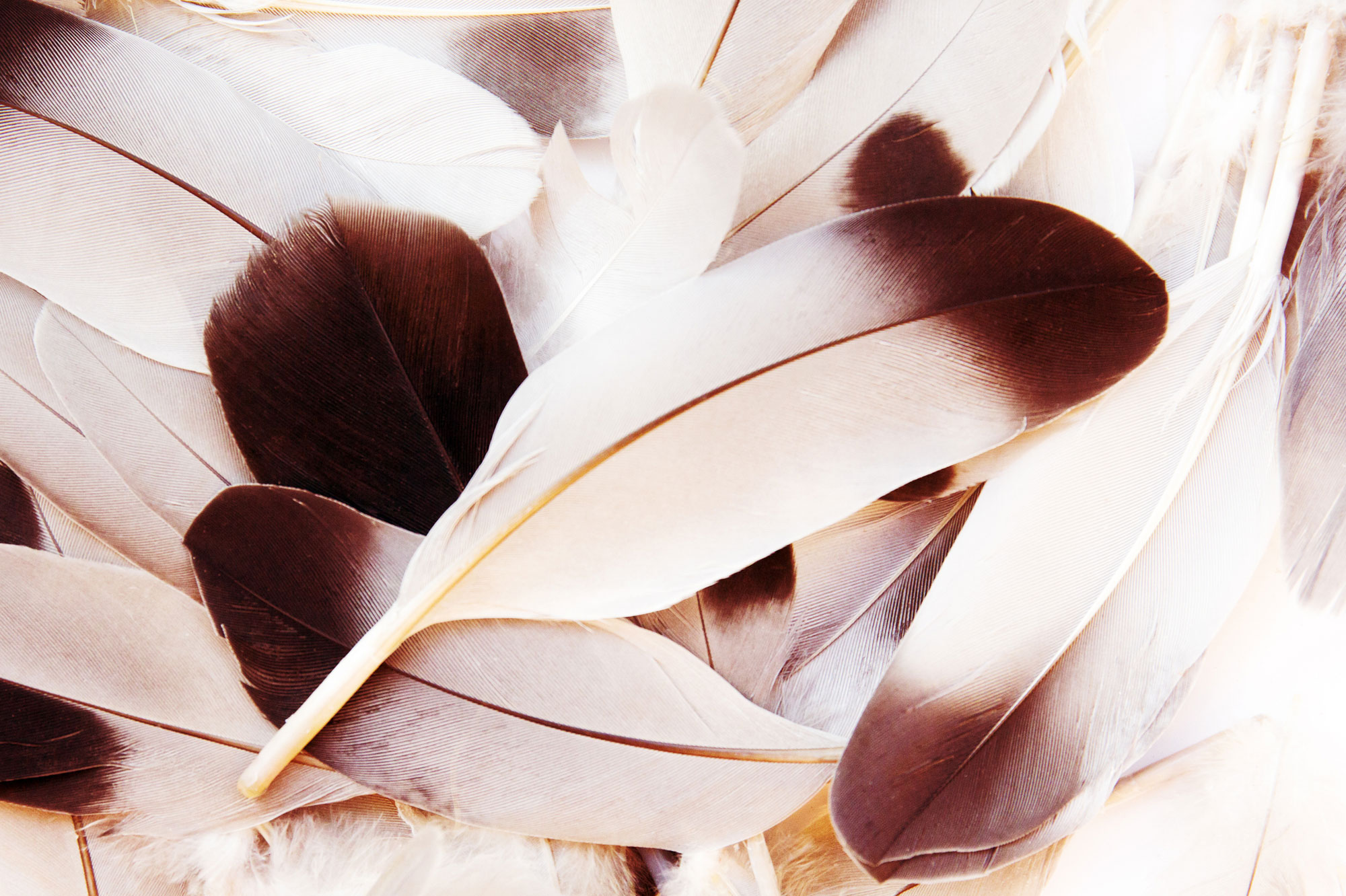 Willkommen in meiner Praxis für kreative Heilwege